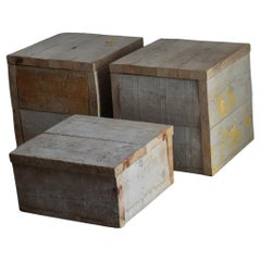 Reclaimed Ash Cubes