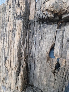 Antiker Bodenspiegel aus Eichenbrettern im Landhausstil 19.