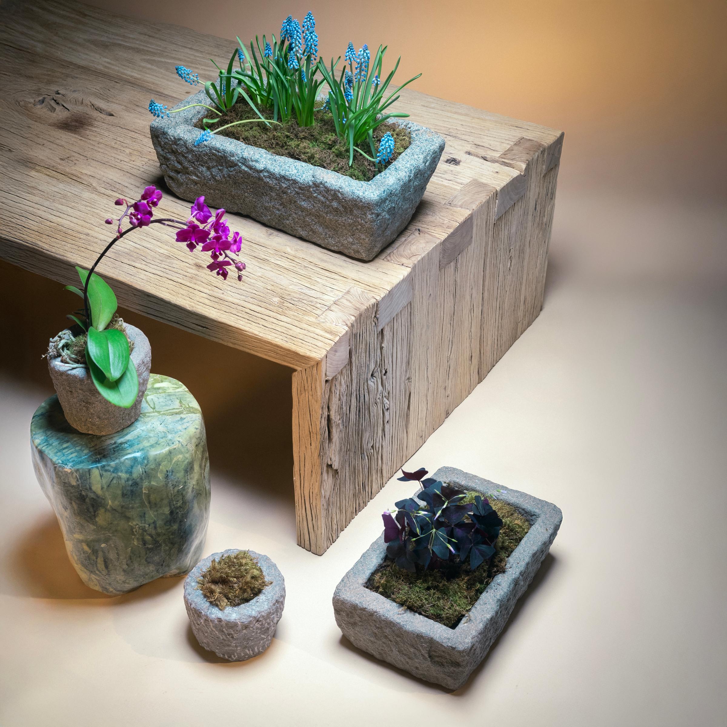 XXIe siècle et contemporain Table basse en orme recyclé en vente