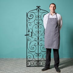 Reclaimed French Narrow Wrought Iron Side Gate