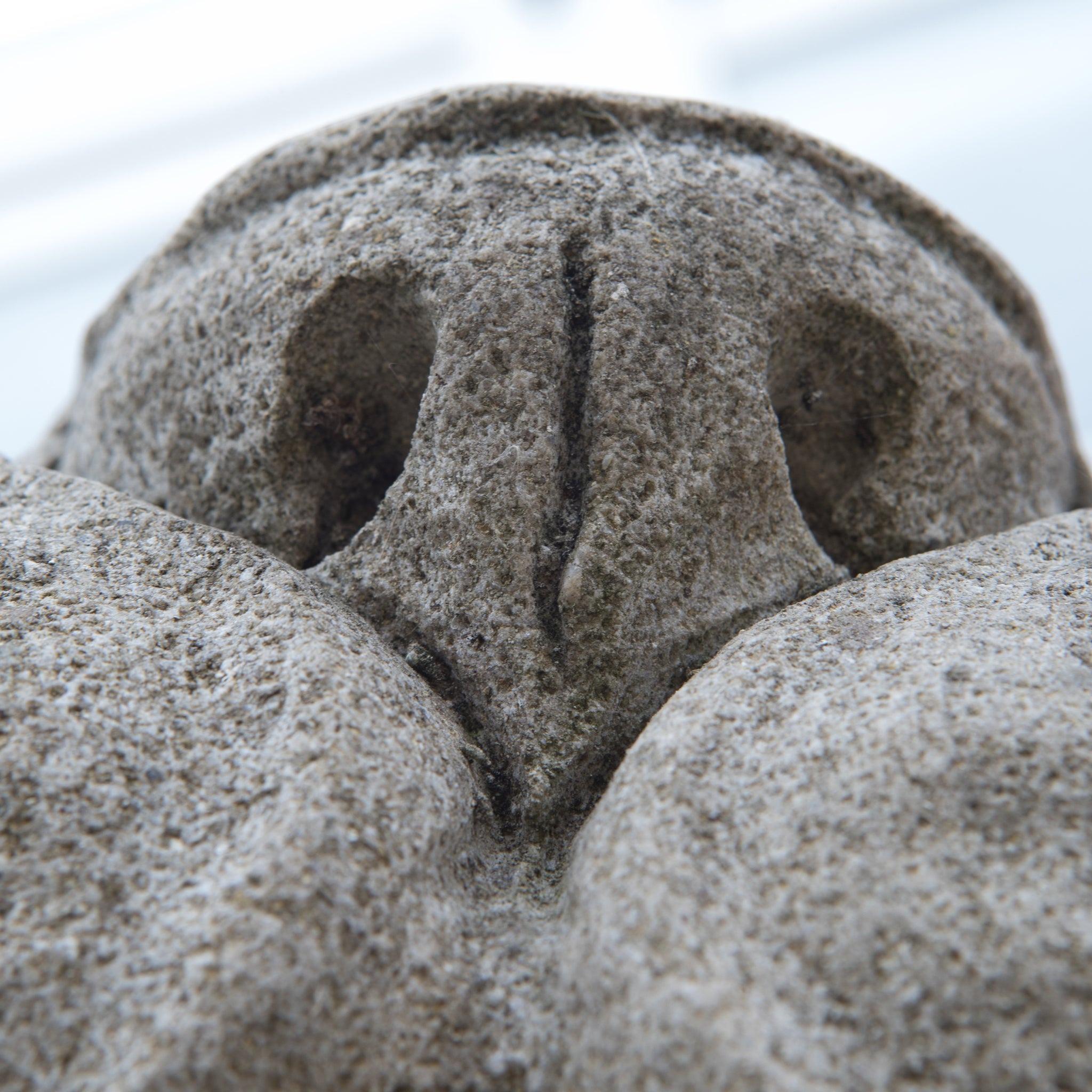Ein aufgearbeitetes Paar monumentaler Steinlöwen auf ihrem eigenen Sockel im Zustand „Gut“ im Angebot in Ware, GB