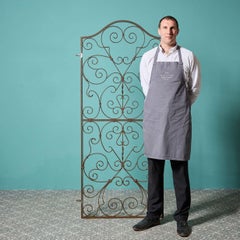Reclaimed Tall & Narrow Wrought Iron Side Gate