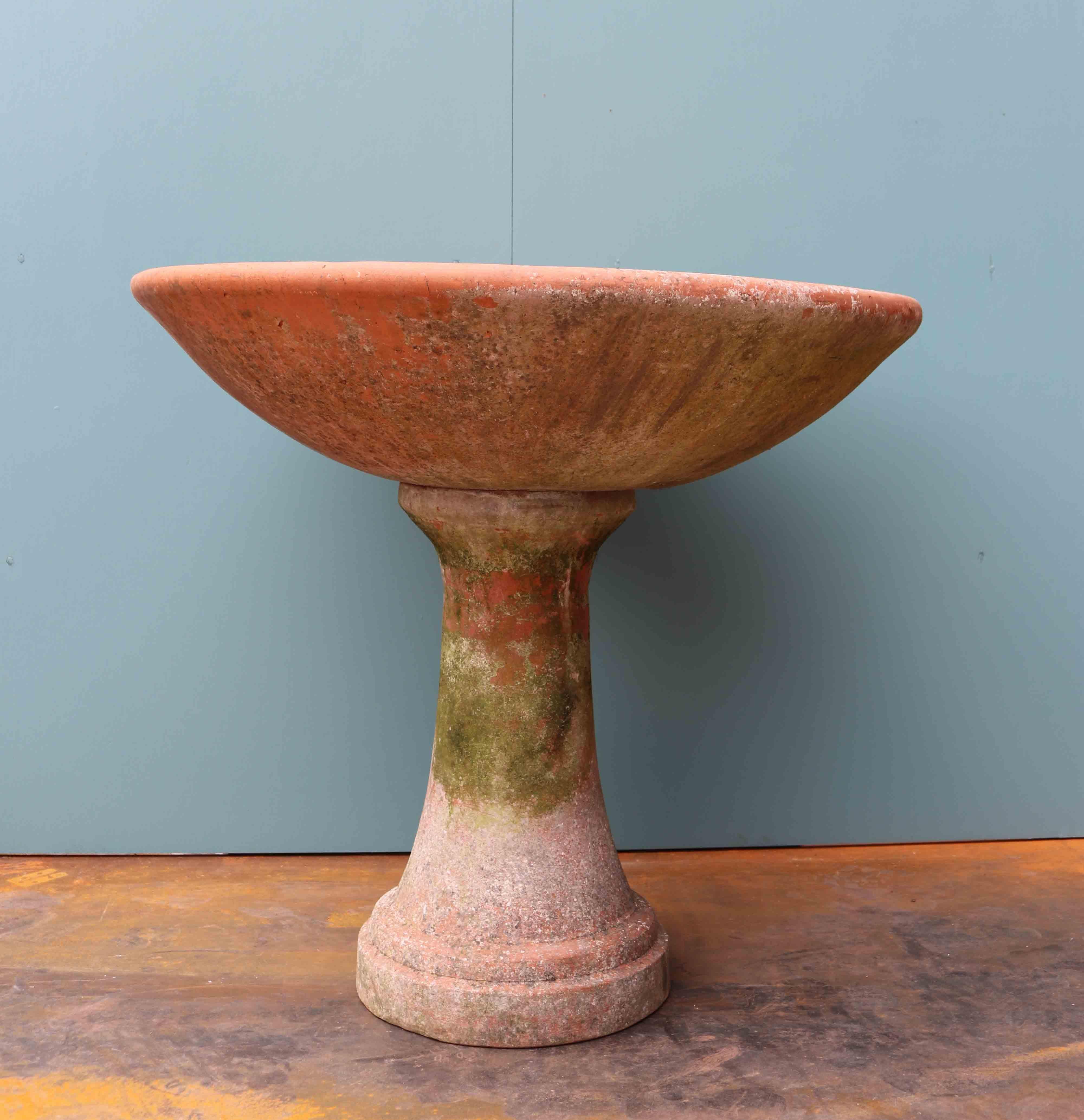 terra cotta bird bath bowl