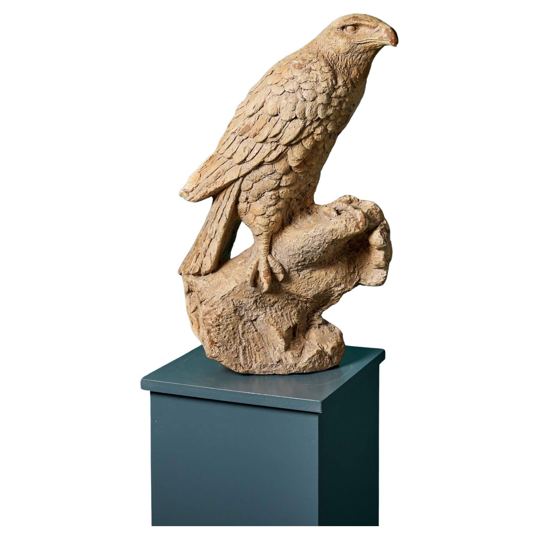 Escultura modelo de terracota recuperada de ave rapaz