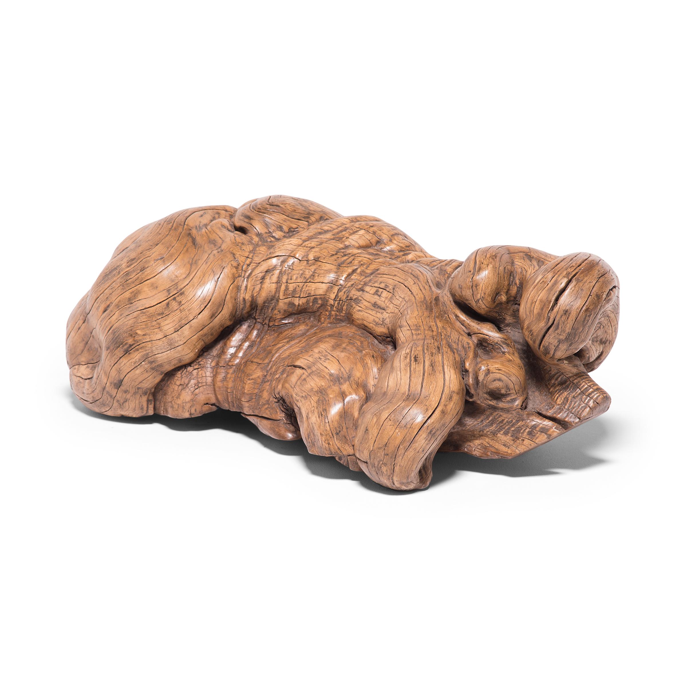 The unique formation of this early 19th century Chinese scholars' root sculpture brings to mind a mythical creature relaxing in a reclined posture. This type of natural sculpture is characterized as a 