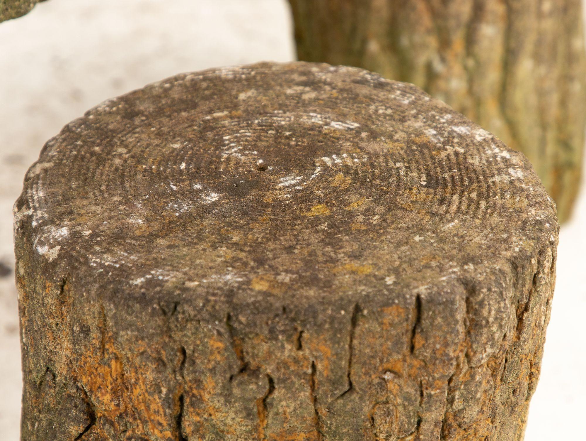 Reconstituted Stone Faux Bois Table and Stools, France Mid 20th Century, 20.5