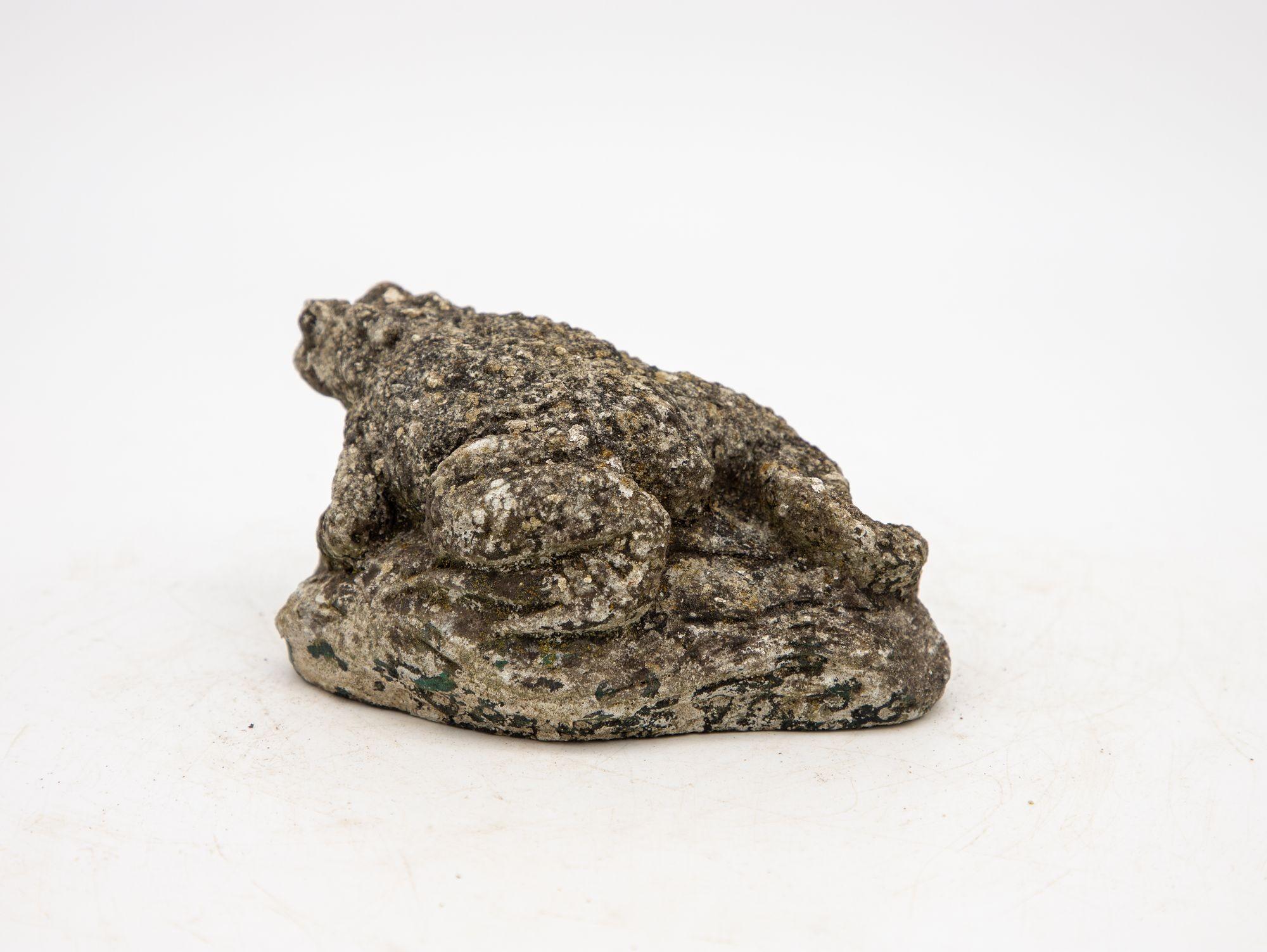 This delightful reconstituted stone frog garden ornament brings a touch of whimsy and charm to your outdoor space. This ornament features an honest patina, giving it an authentic and aged appearance, and is covered in natural moss that adds to its
