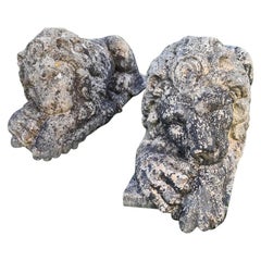 Reconstituted Stone Lions