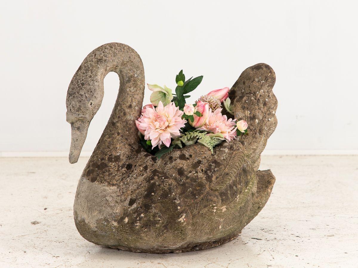 The concrete swan planter embodies both beauty and functionality in a single piece. With its graceful curved neck and elegant form, it effortlessly captures attention and adds a touch of sophistication to any outdoor or indoor space. The planter's