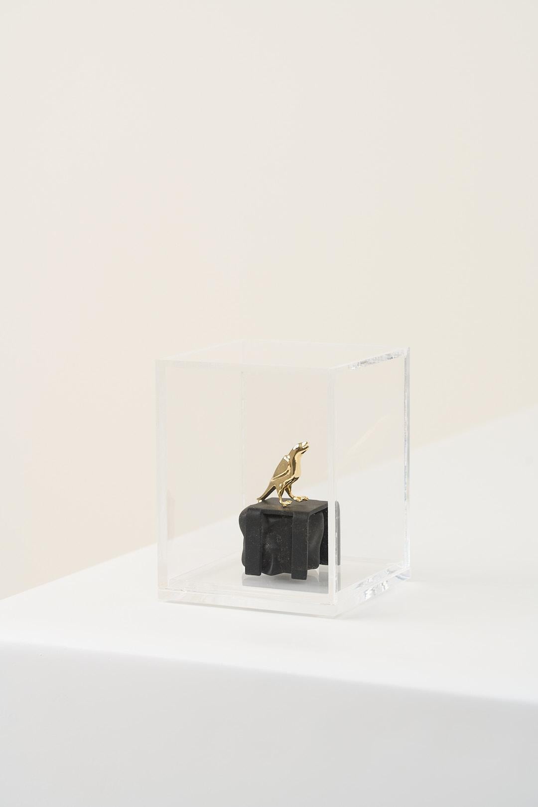Contemporary Reconto Series, Bird Sculpture N1 in Acrylic Box For Sale