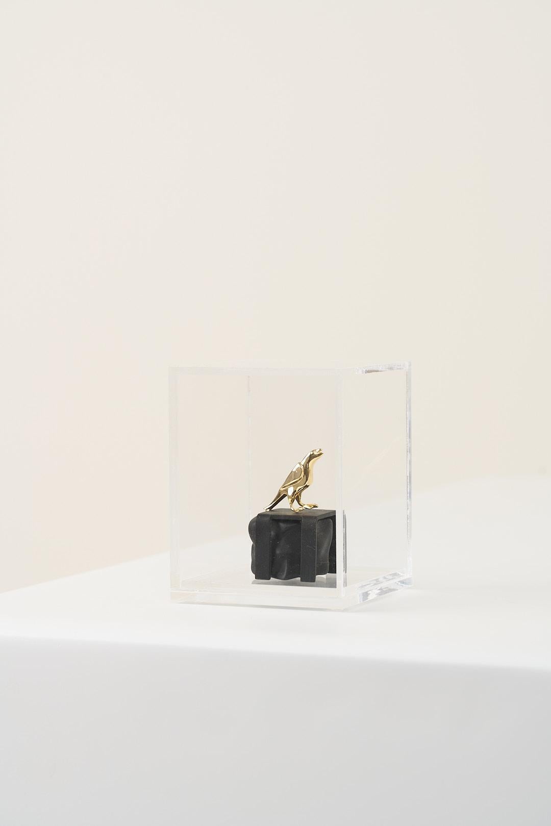Brass Reconto Series, Bird Sculpture N1 in Acrylic Box For Sale