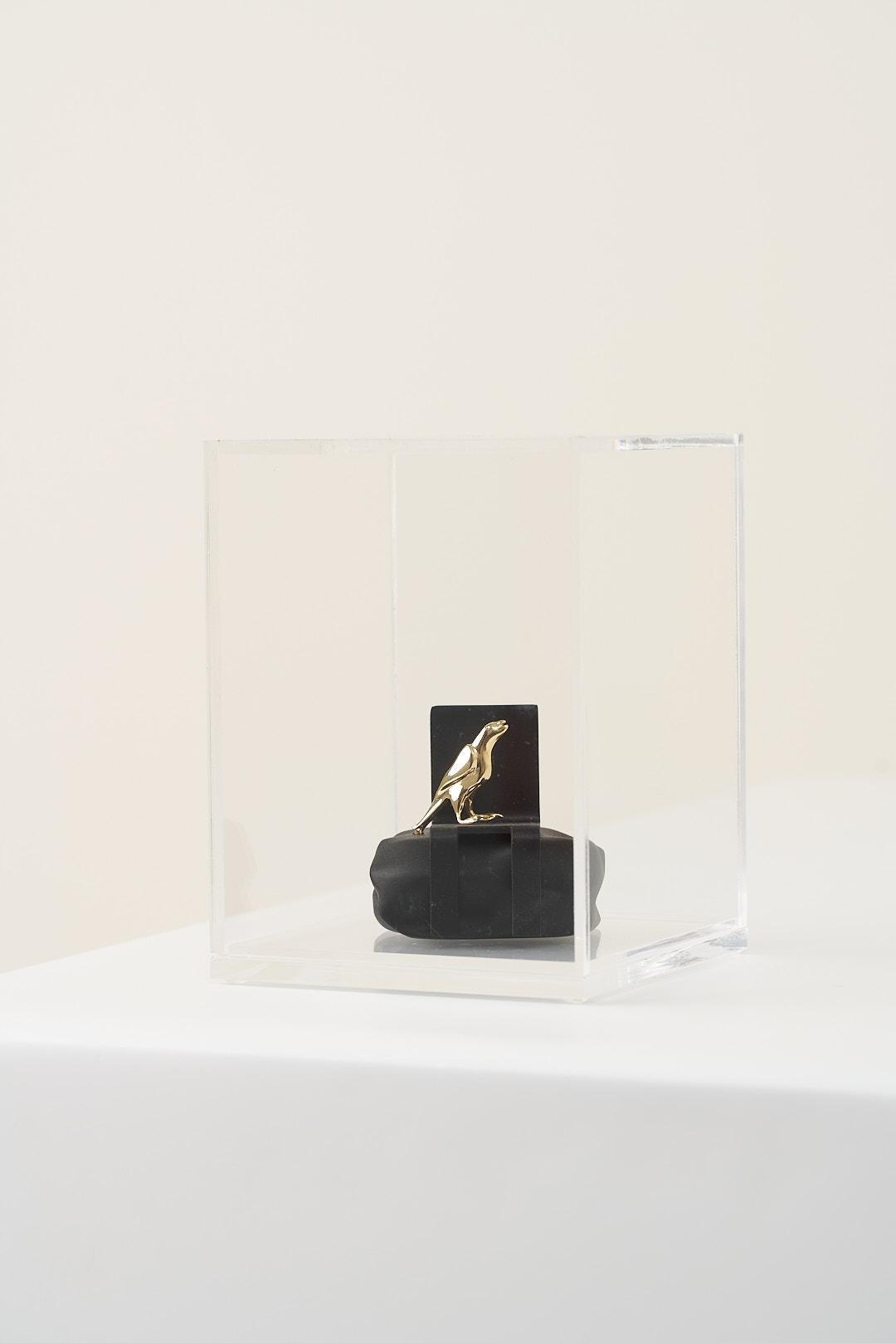 Brazilian Reconto Series, Bird Sculpture N2 in Acrylic Box For Sale