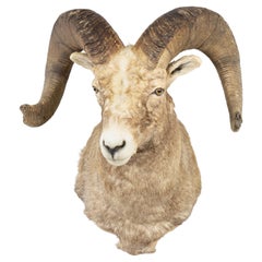 Libro de registro Montaña Rocosa Bighorn Montura de hombro