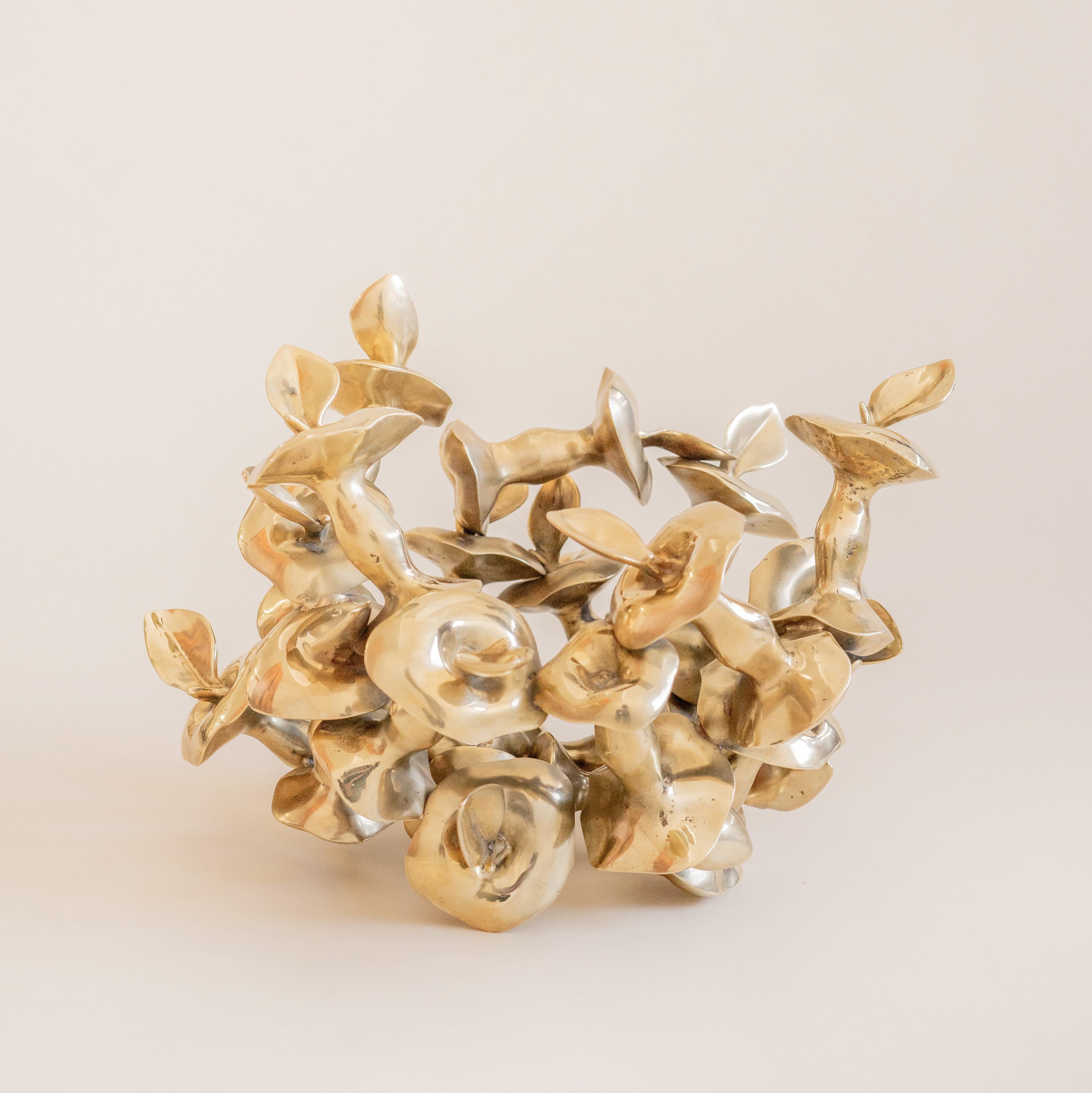      Cast in bronze, this vessel is part of a series of unique pieces crafted by Lucas Recchia. In this new collection, Lucas explores the finishing phase of the product by integrating elements such as holes, folds, and other distinctive marks into
