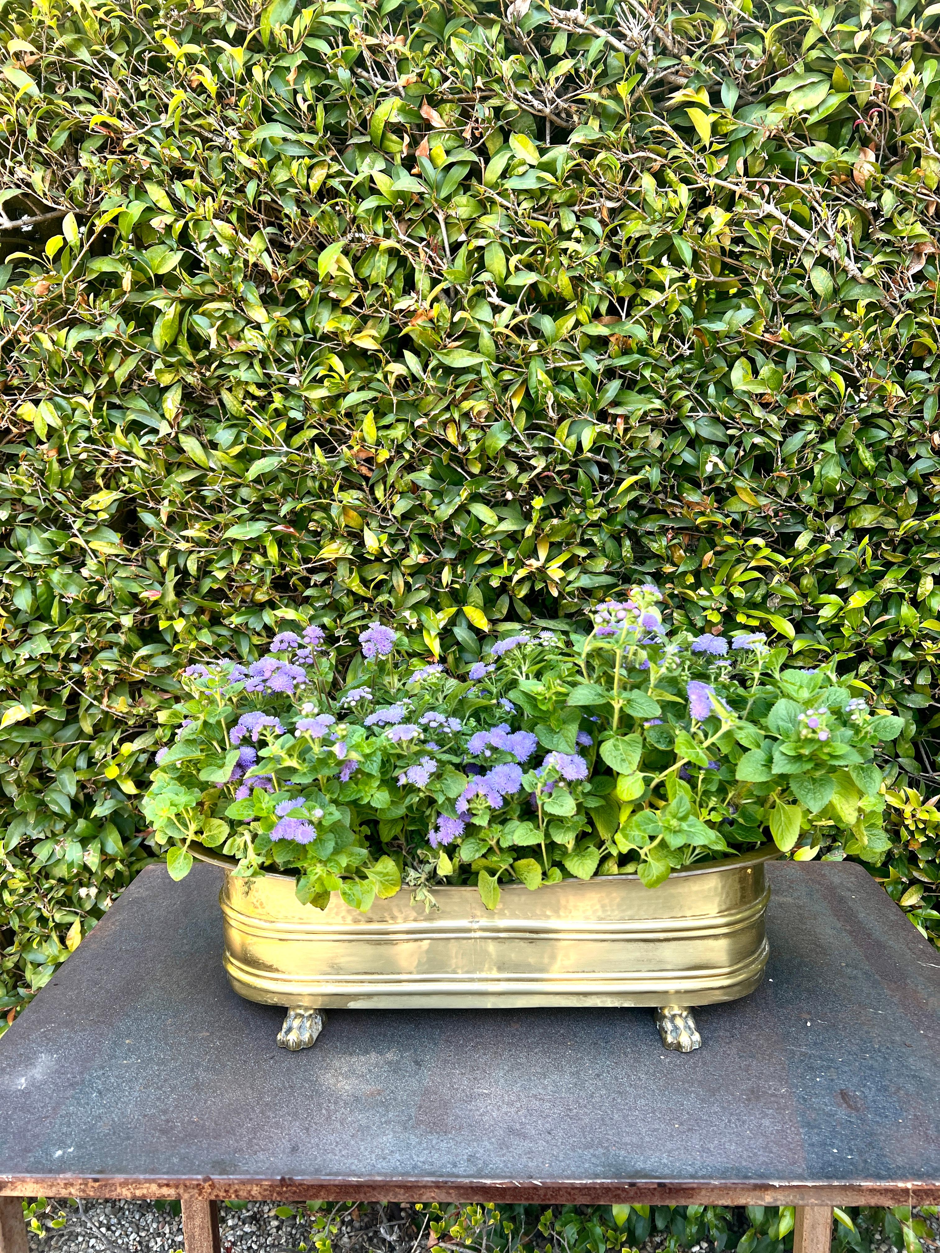 XX secolo Rectangular Brass Planter or Jardiniere with Curved Edging and Lion Paw Feet in vendita
