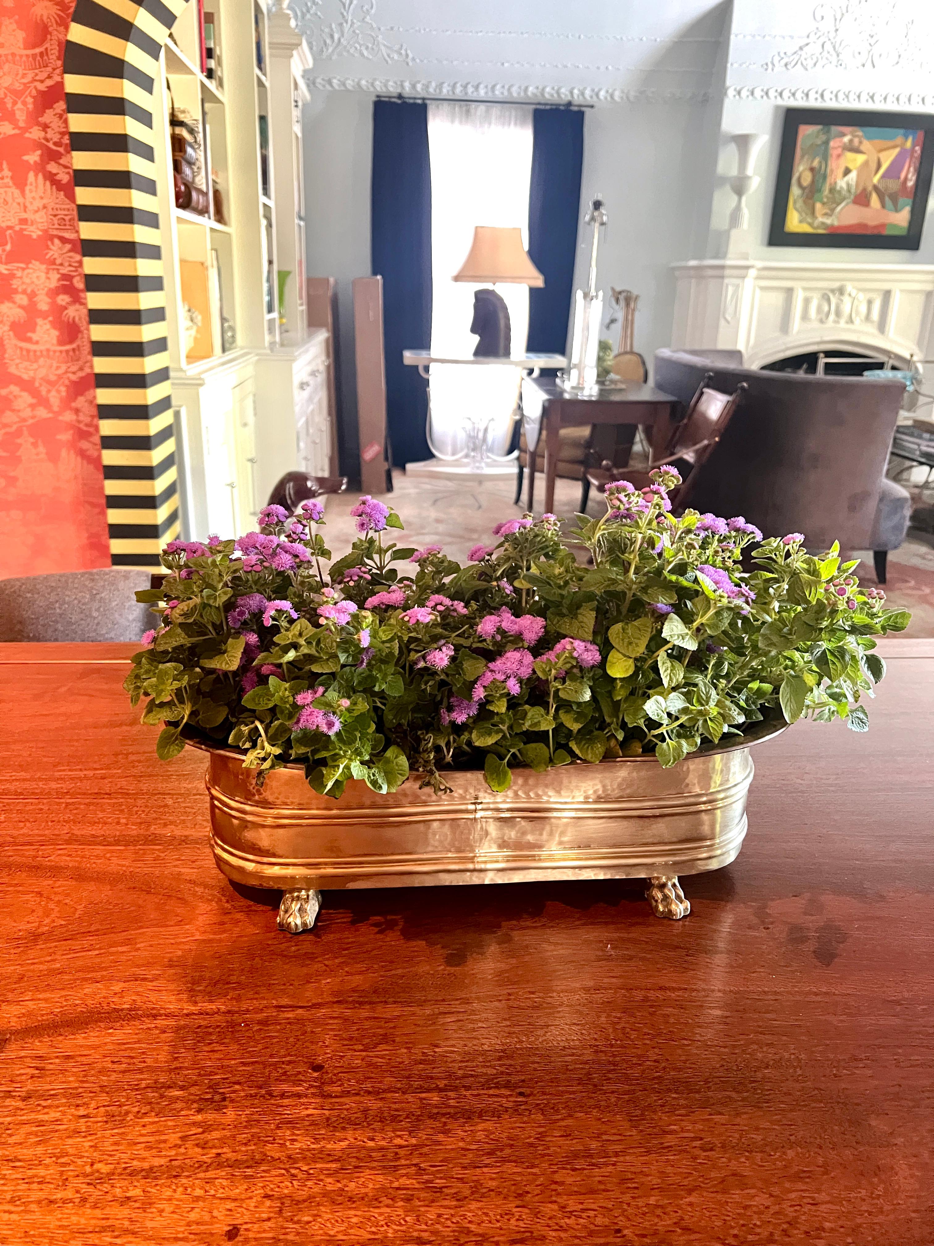 Ottone Rectangular Brass Planter or Jardiniere with Curved Edging and Lion Paw Feet in vendita