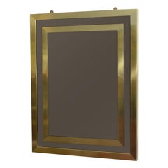 Rectangular Bronze Tinted Mirror with Double Brass Frame