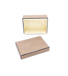 Rectangular Brown Shagreen Box