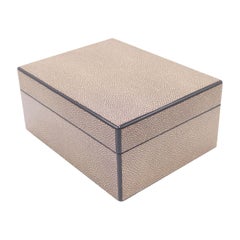 Rectangular Brown Shagreen Box