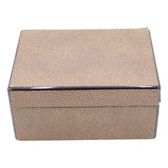 Rectangular Brown Shagreen Box