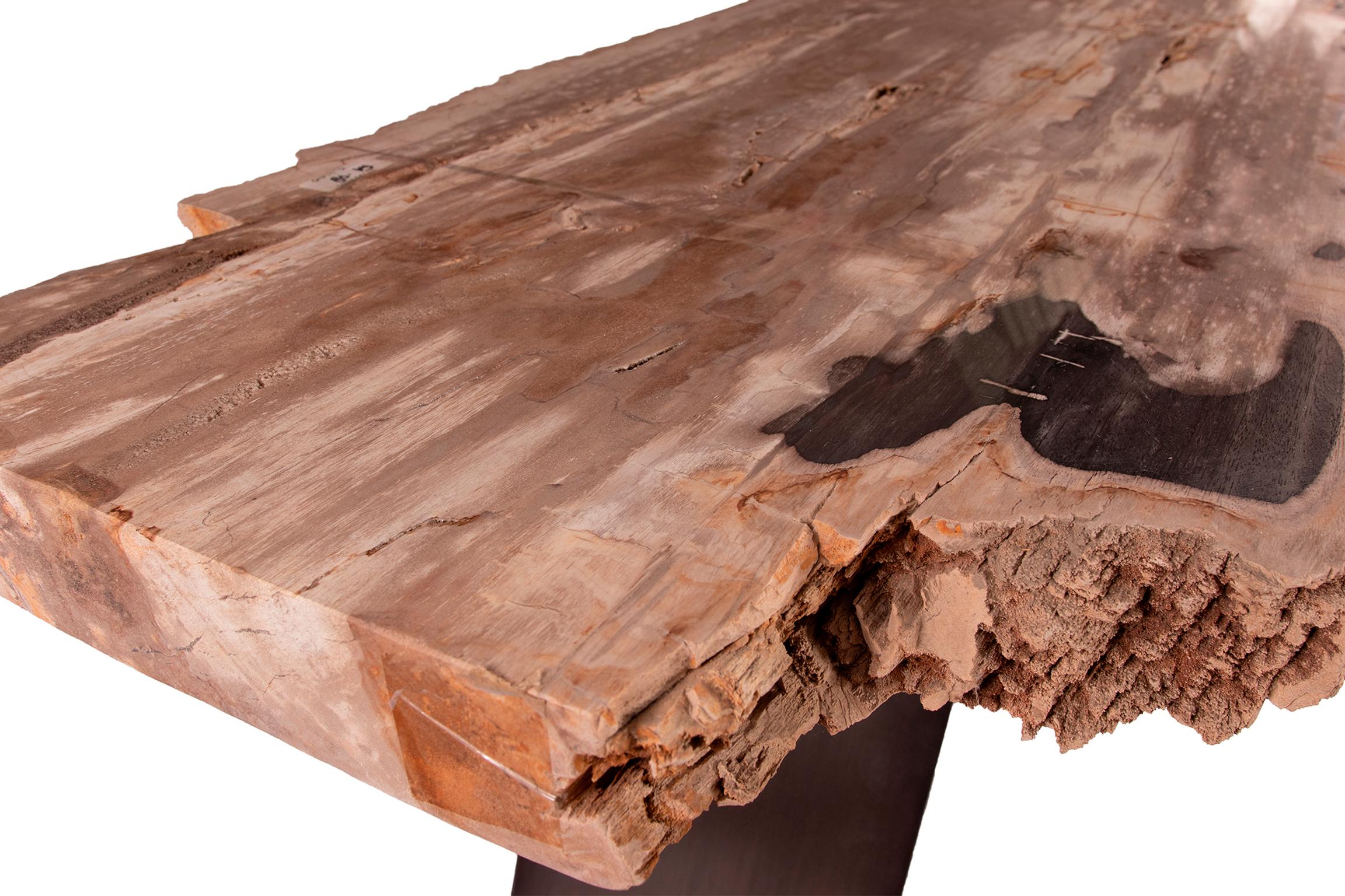 Konsole aus versteinertem Holz mit originalem Metallsockel im Angebot 2