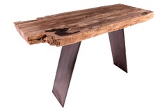 Petrified wood Console with original design metal base