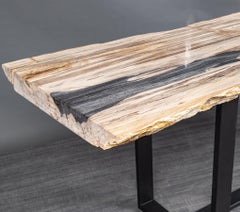 Rectangular Console Table, Natural Organic Shape, Petrified Wood with Metal Base