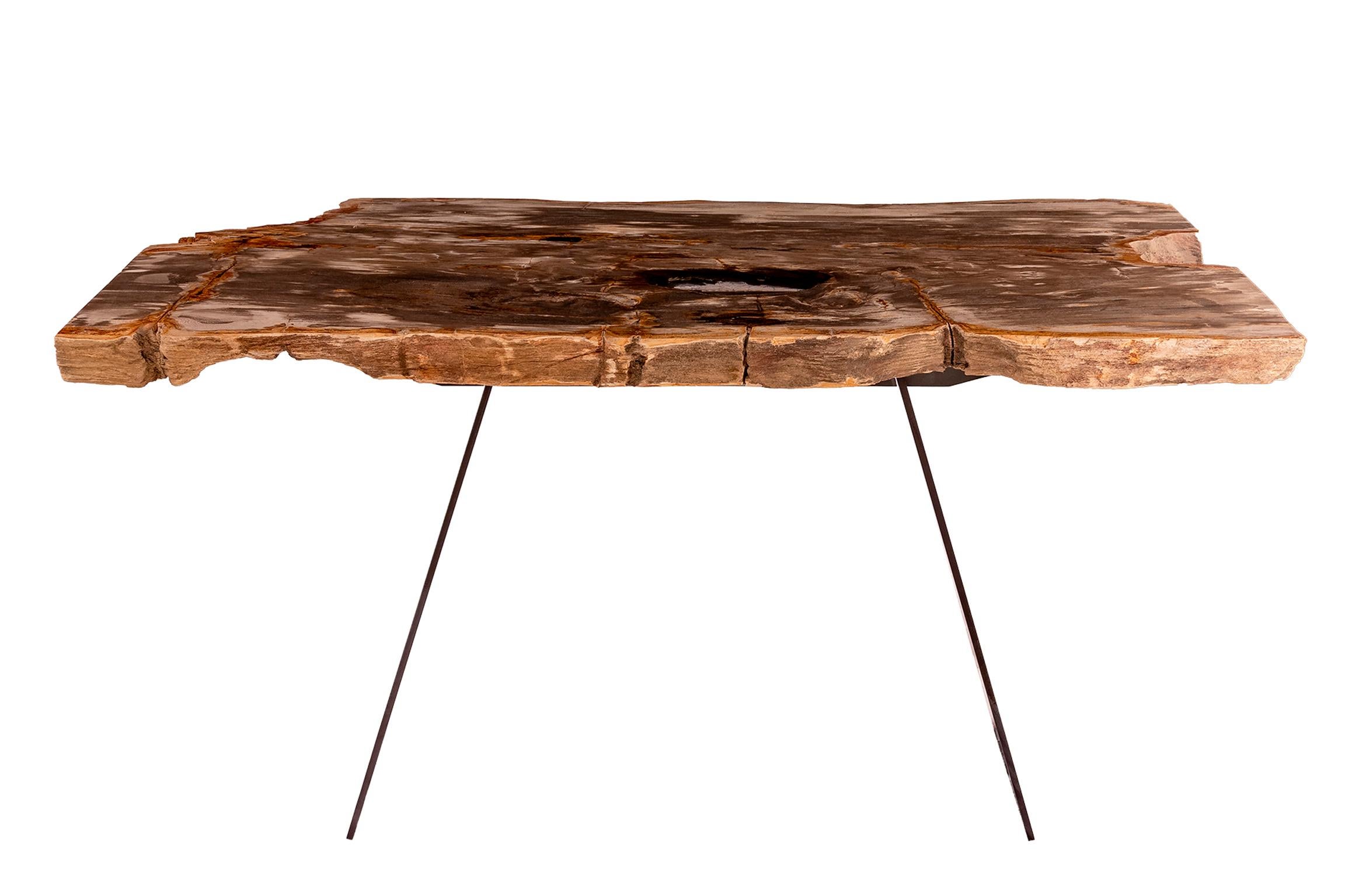 Organic Modern 15 Million y/o Petrified Wood console with Metal Base from Indonesia For Sale