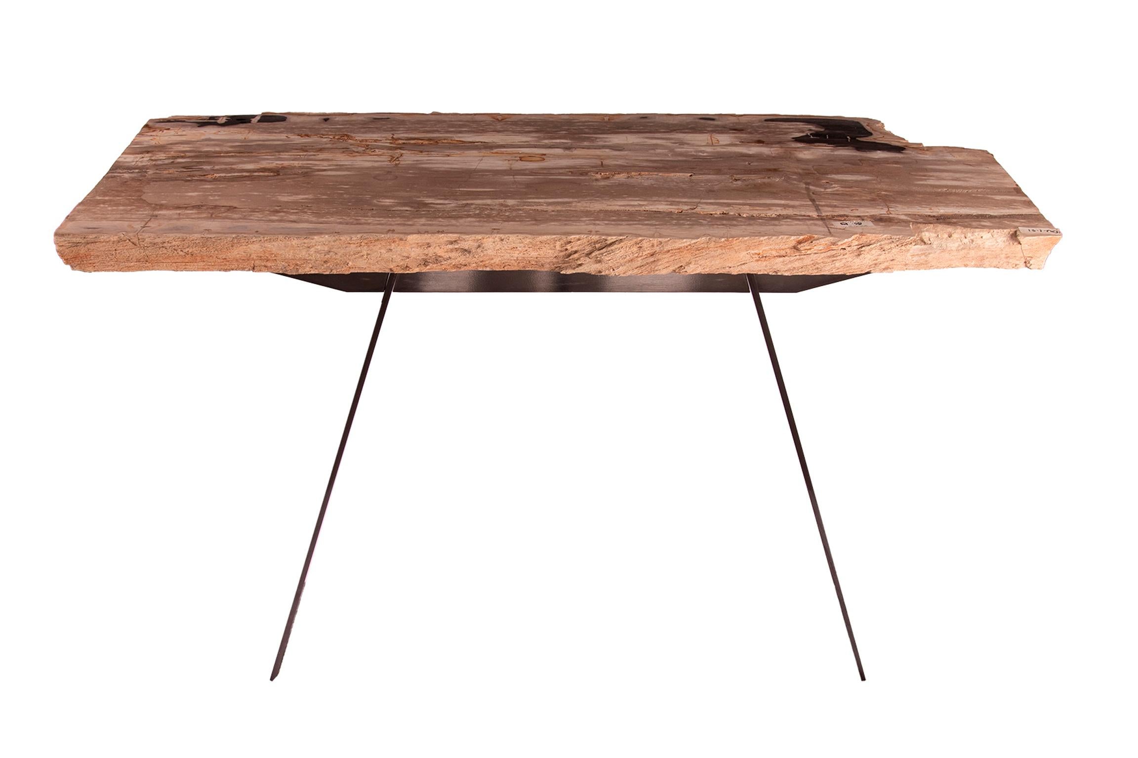 Contemporary Petrified wood Console with original design metal base For Sale