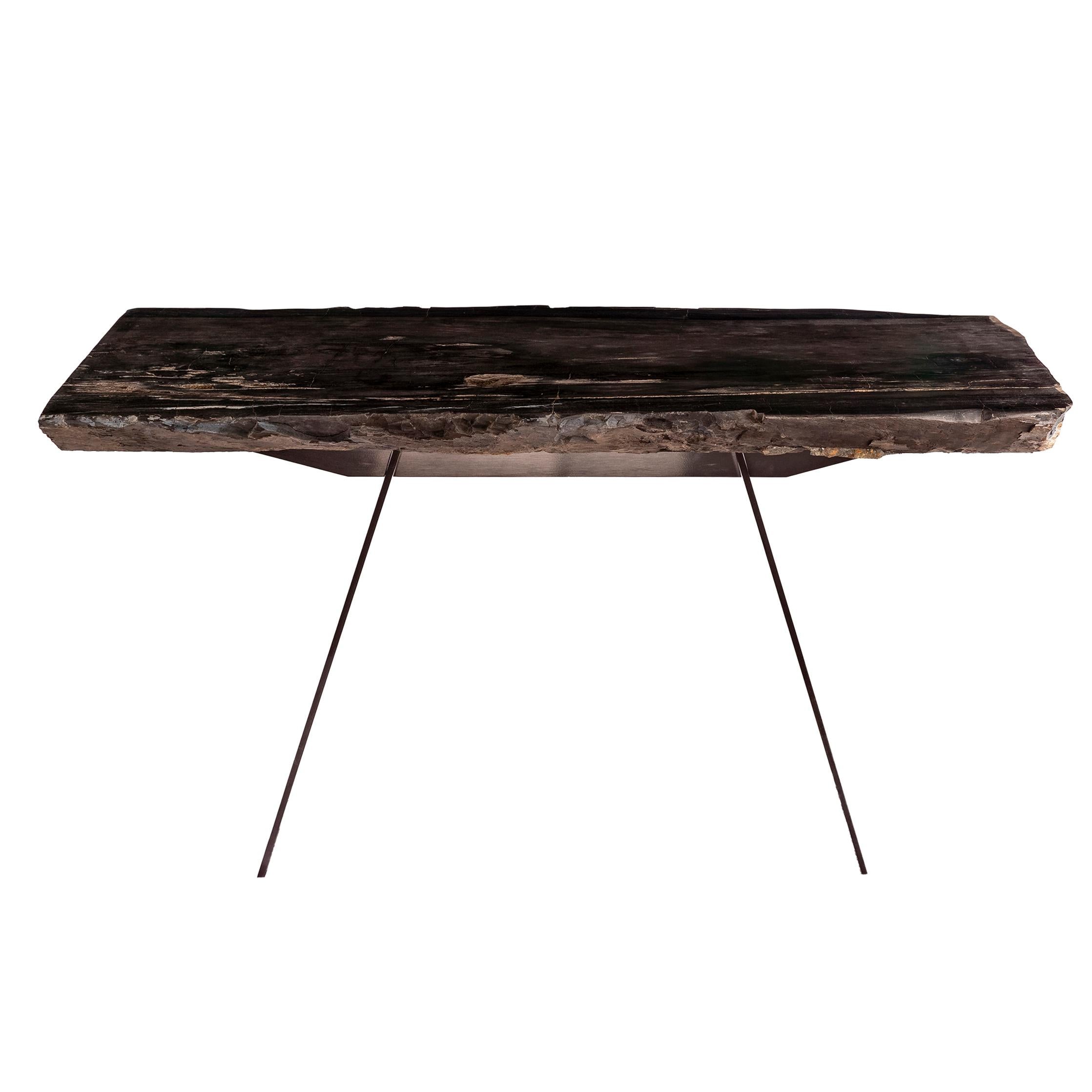 Organic Modern Rectangular Console Table, Natural Organic Shape, Petrified Wood with Metal Base