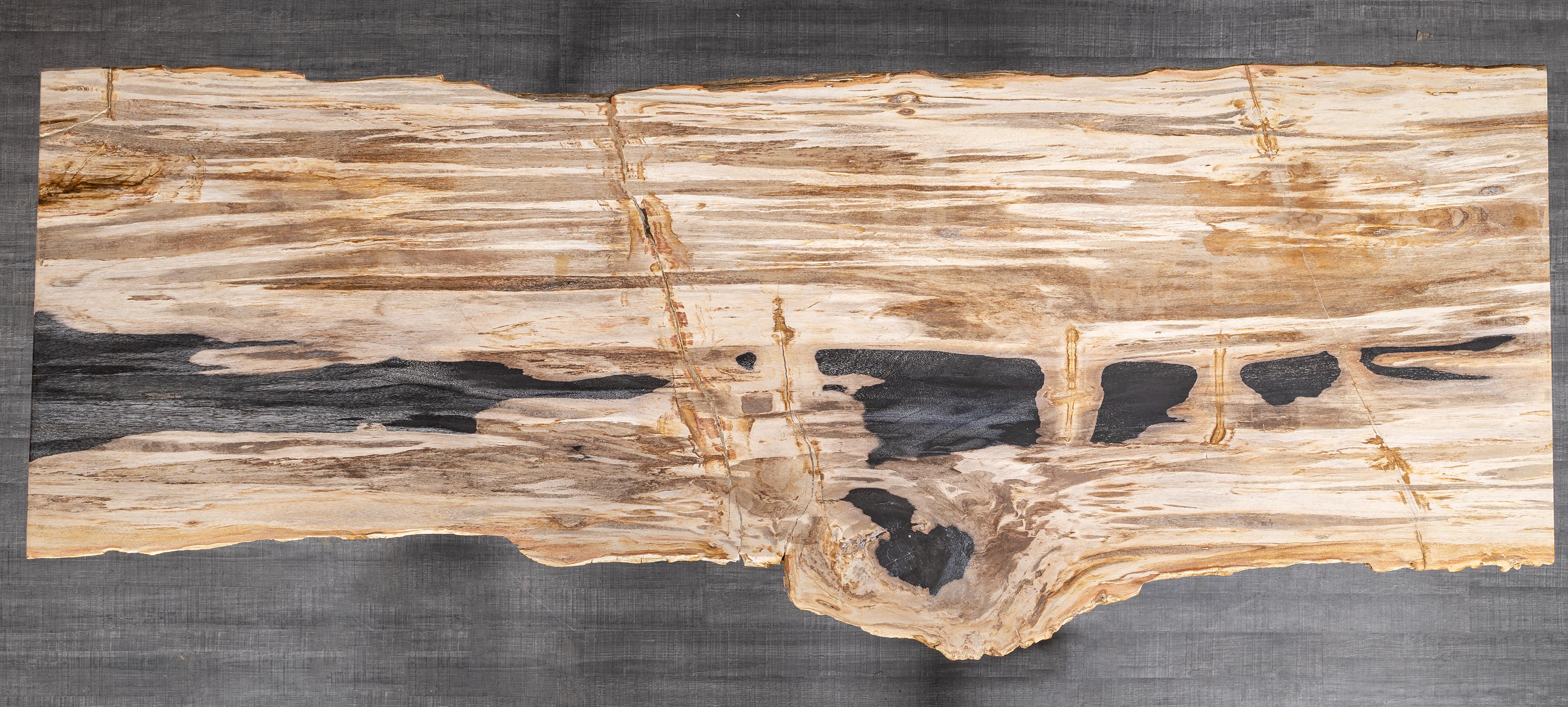 Mexican Rectangular Console Table, Natural Organic Shape, Petrified Wood with Metal Base For Sale
