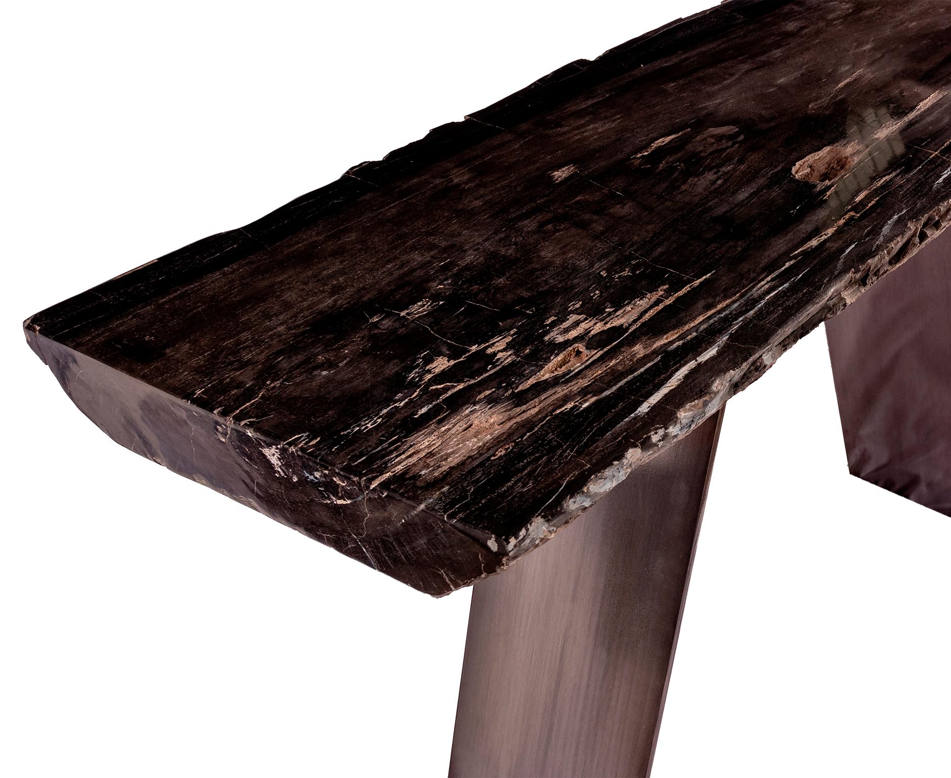 Mexican Rectangular Console Table, Natural Organic Shape, Petrified Wood with Metal Base