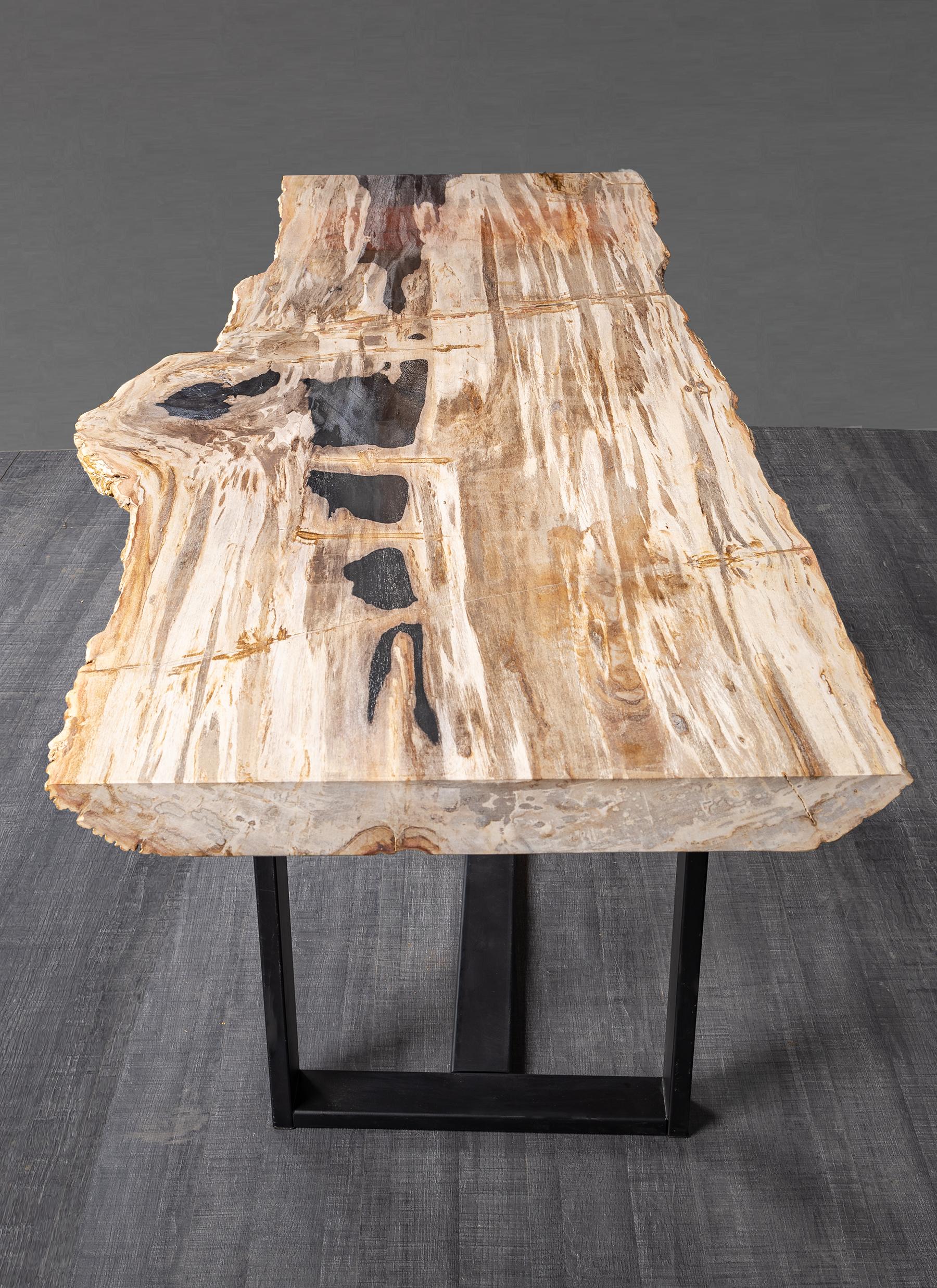 Polished Rectangular Console Table, Natural Organic Shape, Petrified Wood with Metal Base For Sale