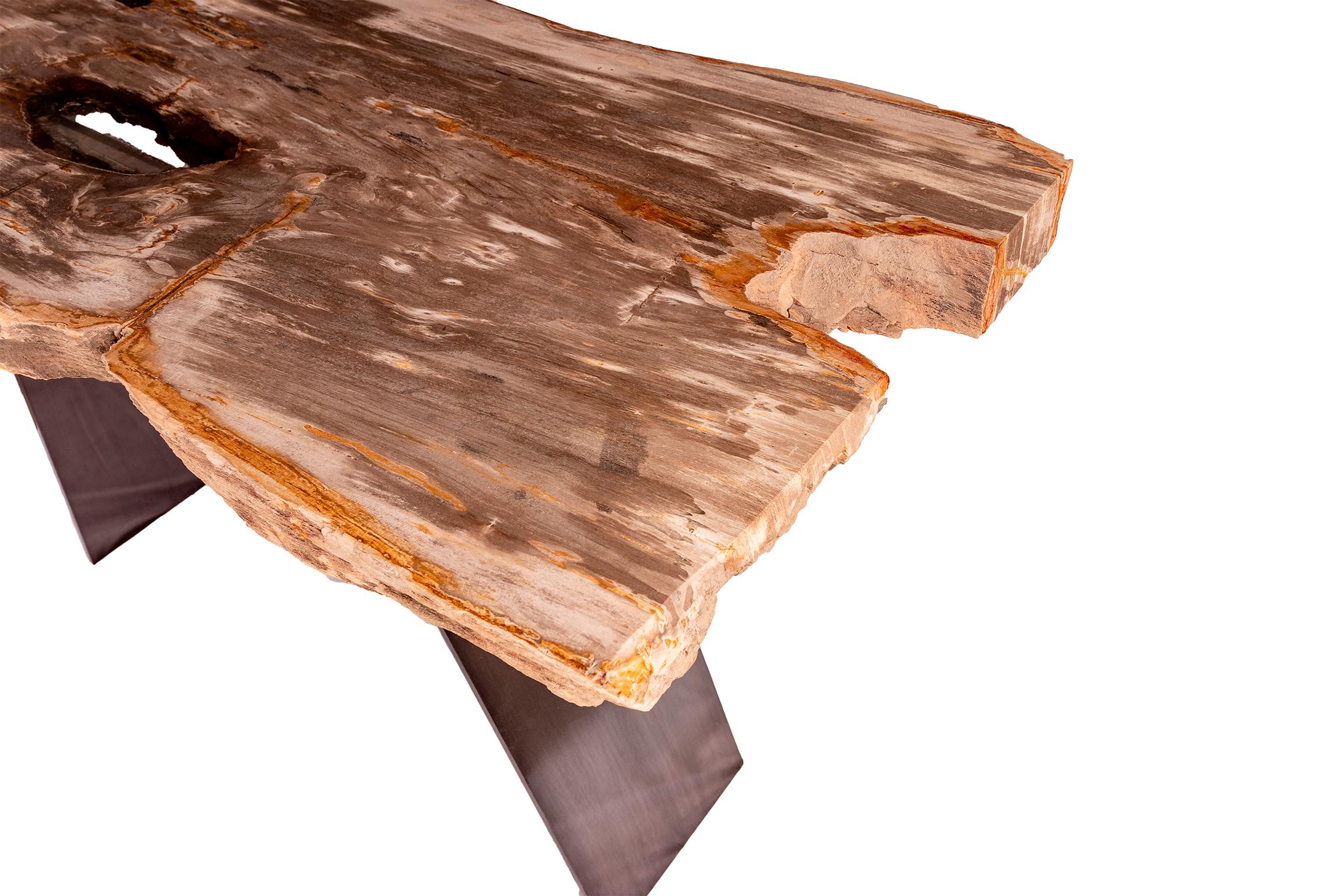 Powder-Coated 15 Million y/o Petrified Wood console with Metal Base from Indonesia For Sale