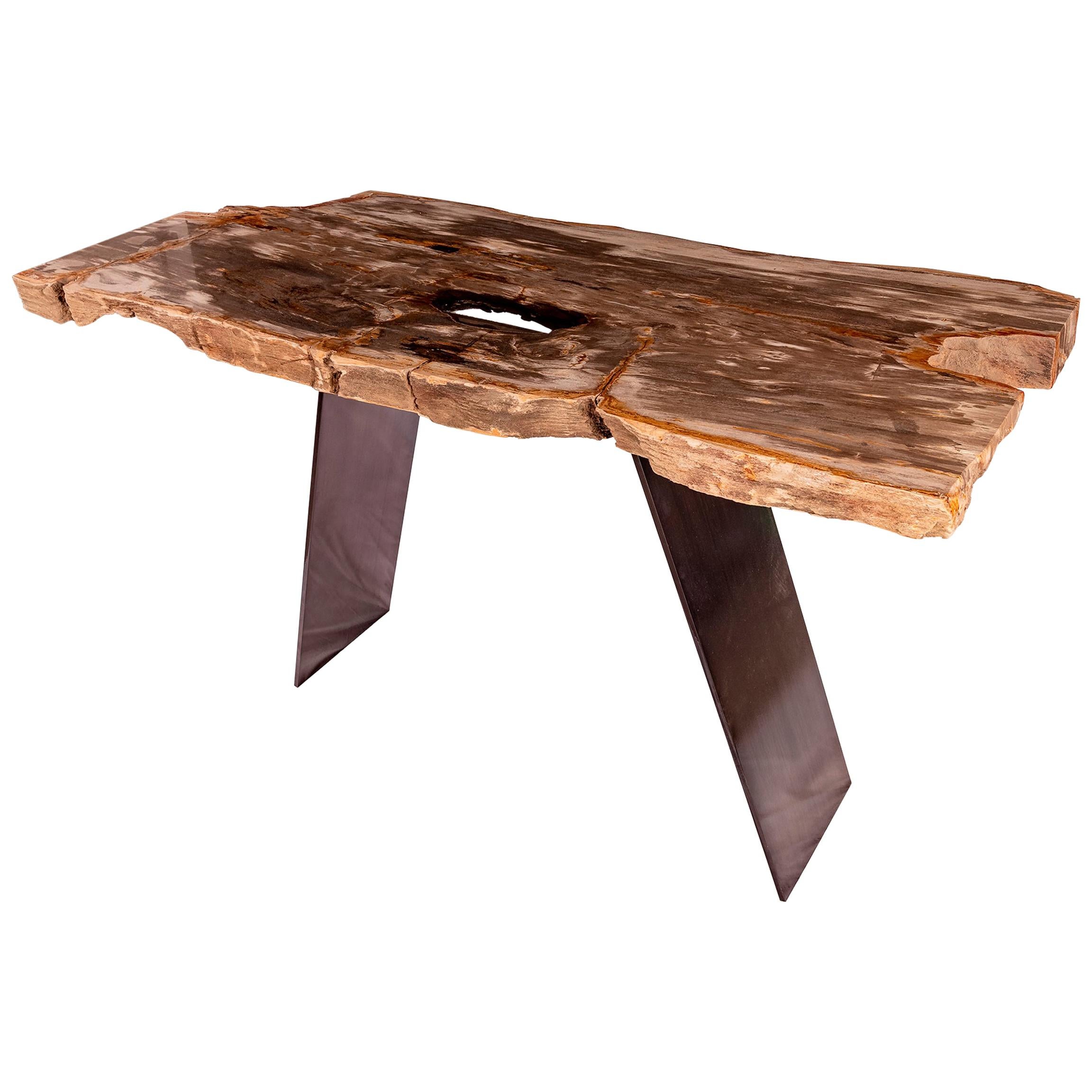 15 Million y/o Petrified Wood console with Metal Base from Indonesia For Sale