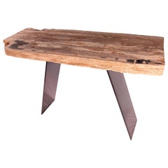 Petrified wood Console with original design metal base