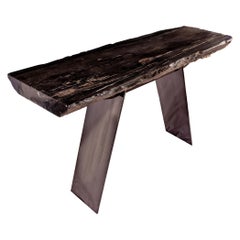 Rectangular Console Table, Natural Organic Shape, Petrified Wood with Metal Base
