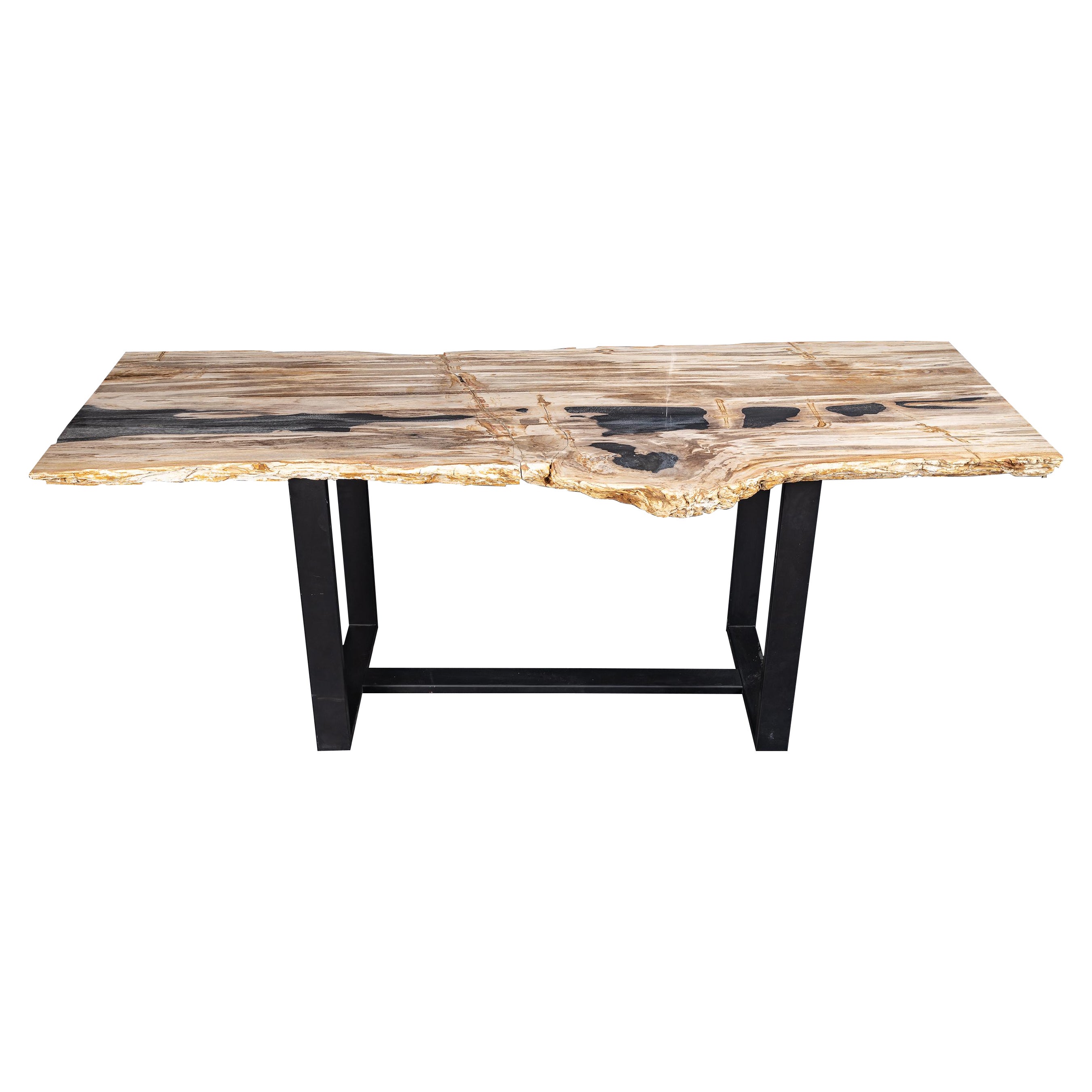 Mesa Consola Rectangular, Forma Orgánica Natural, Madera Petrificada con Base Metálica