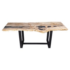Table console rectangulaire de forme organique naturelle, bois pétrifié avec base en métal