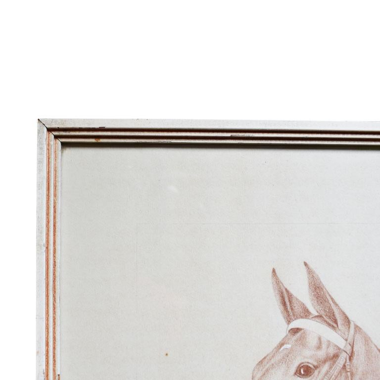 American Rectangular Framed Horse Illustration