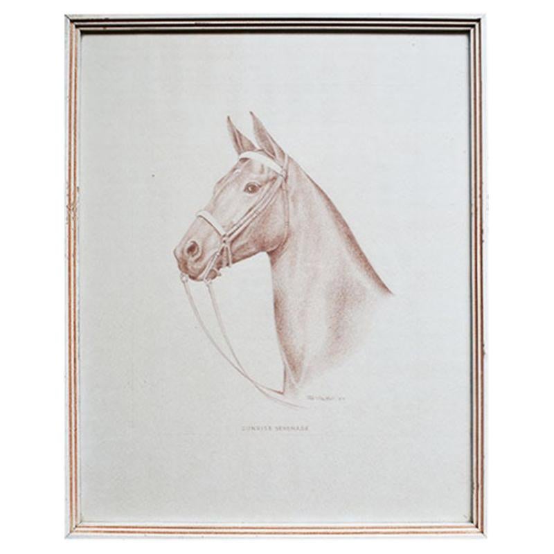 Rectangular Framed Horse Illustration