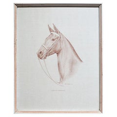 Vintage Rectangular Framed Horse Illustration