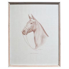 Rectangular Framed Horse Illustration