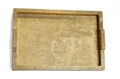 Rectangular Metal Tray in Brass Clad Over MDF by Stephanie Odegard