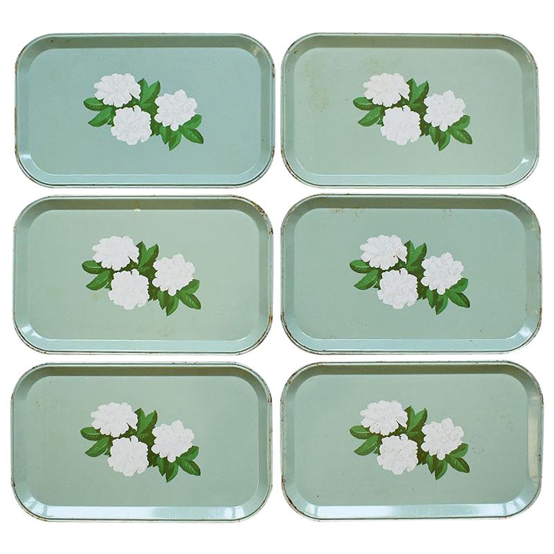 Rectangular Mint Green Tole Tin Magnolia Snack Trays Set of 6