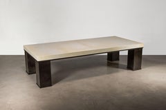 Rectangular Modern Metal and Parchment Coffee Table by Costantini, Michelangelo