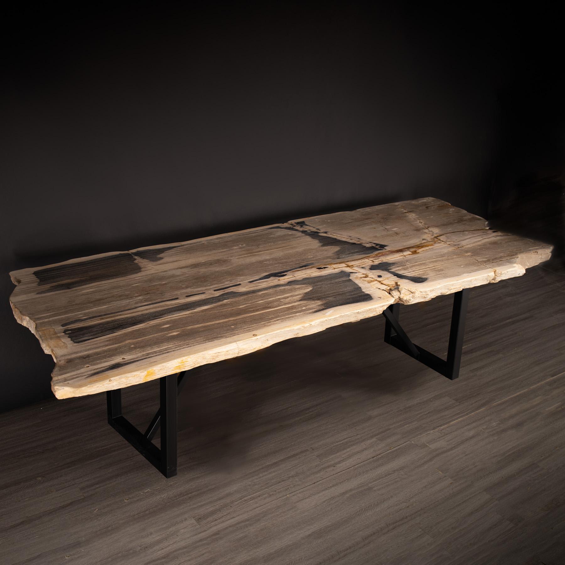 Organic Modern Rectangular Petrified Wood Dinning Table with Metal Base