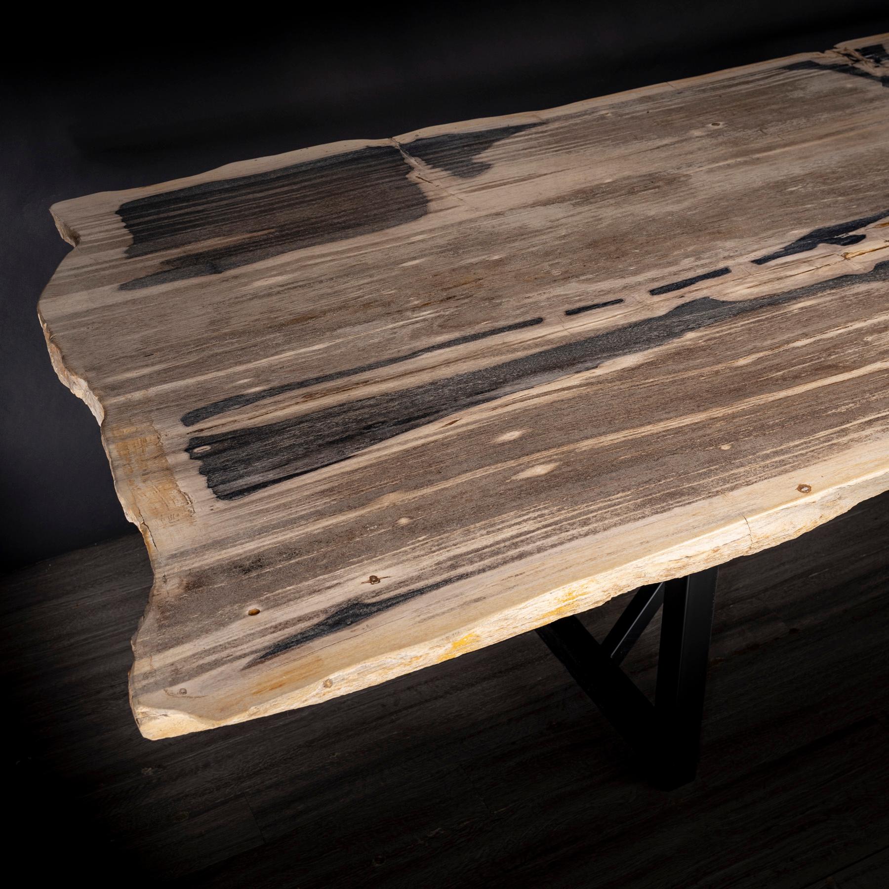 Polished Rectangular Petrified Wood Dinning Table with Metal Base