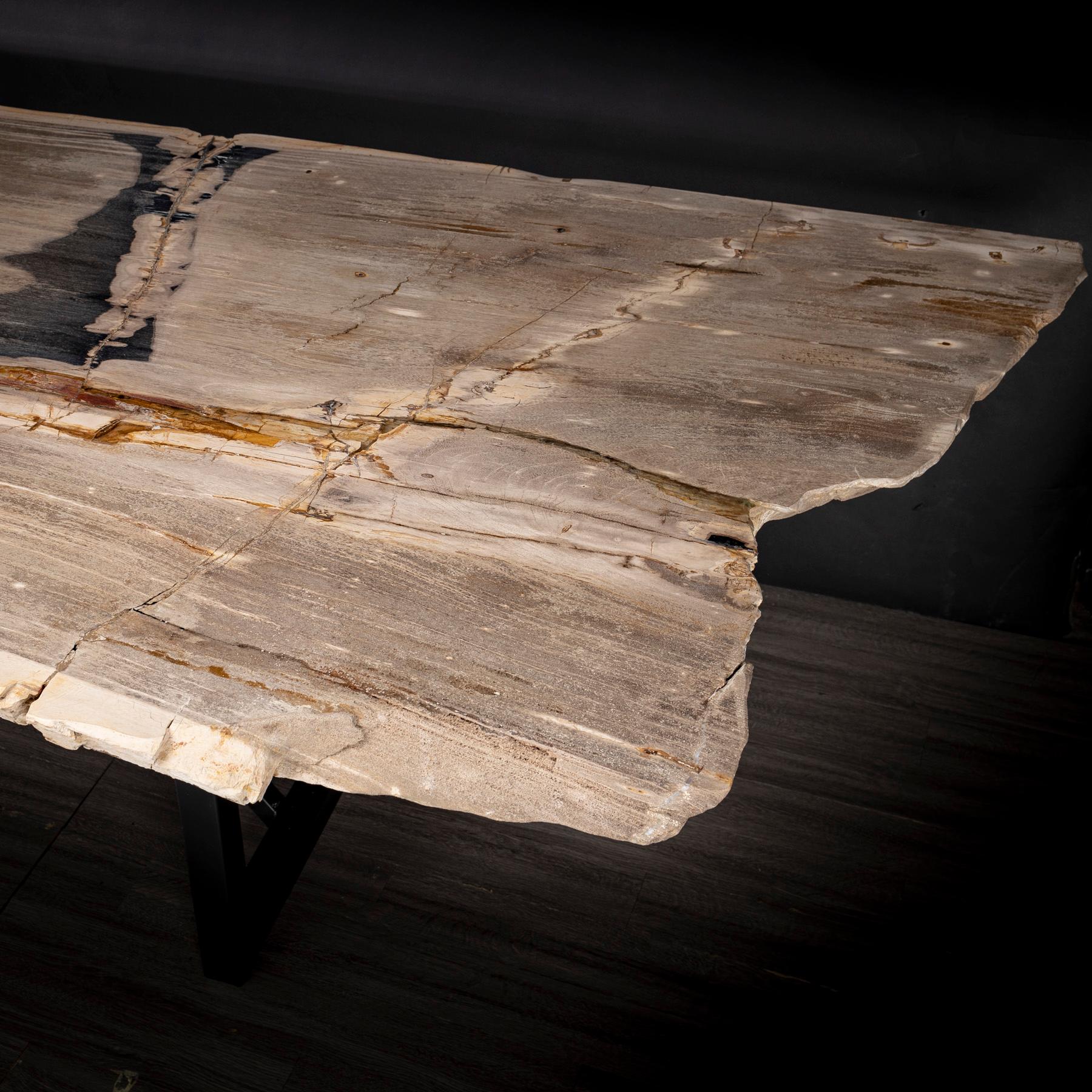 Rectangular Petrified Wood Dinning Table with Metal Base In New Condition In Polanco, CDMX