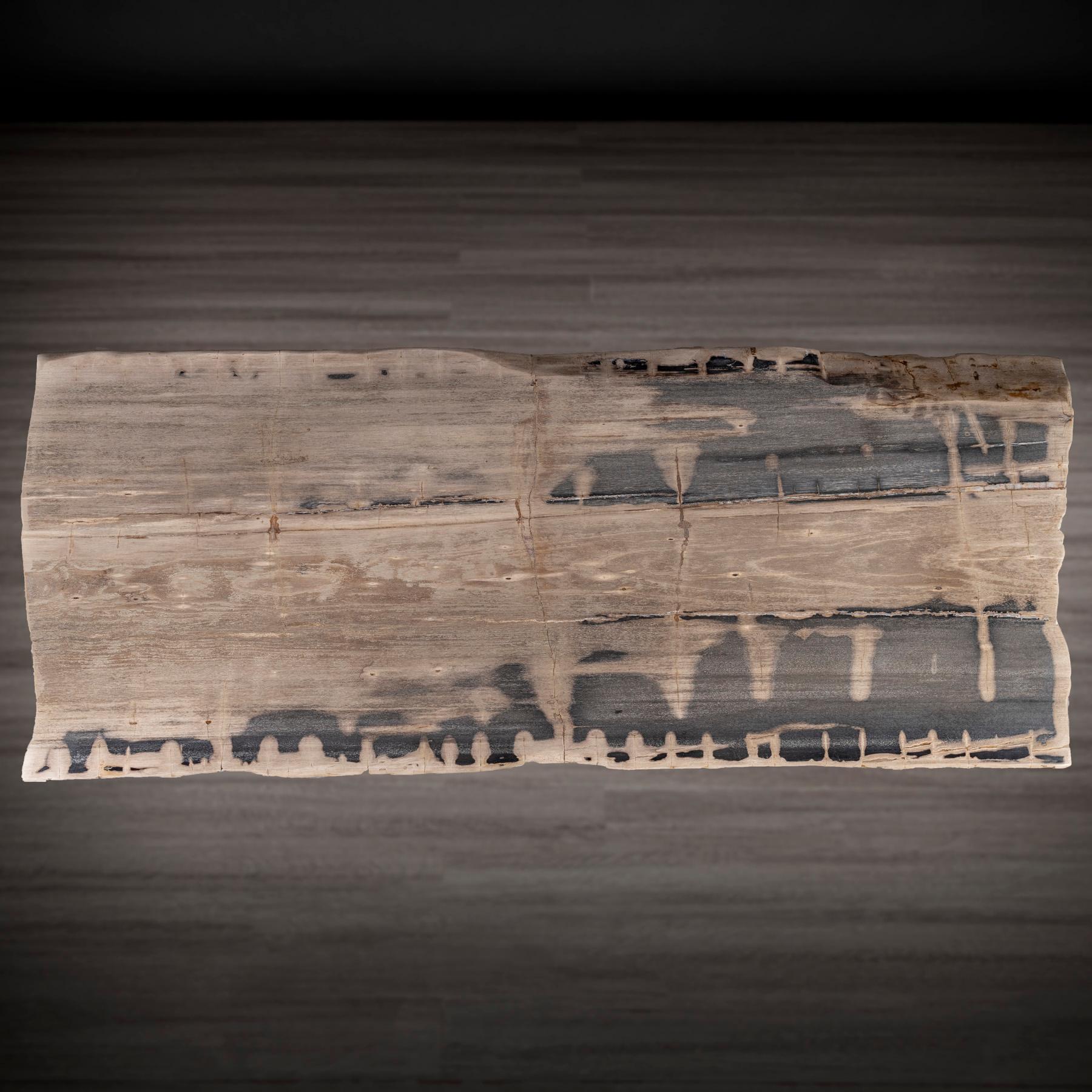 Rechteckiger Esstisch aus versteinertem Holz mit Metallgestell (21. Jahrhundert und zeitgenössisch) im Angebot